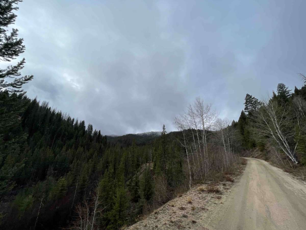 Rough Creek photo 6