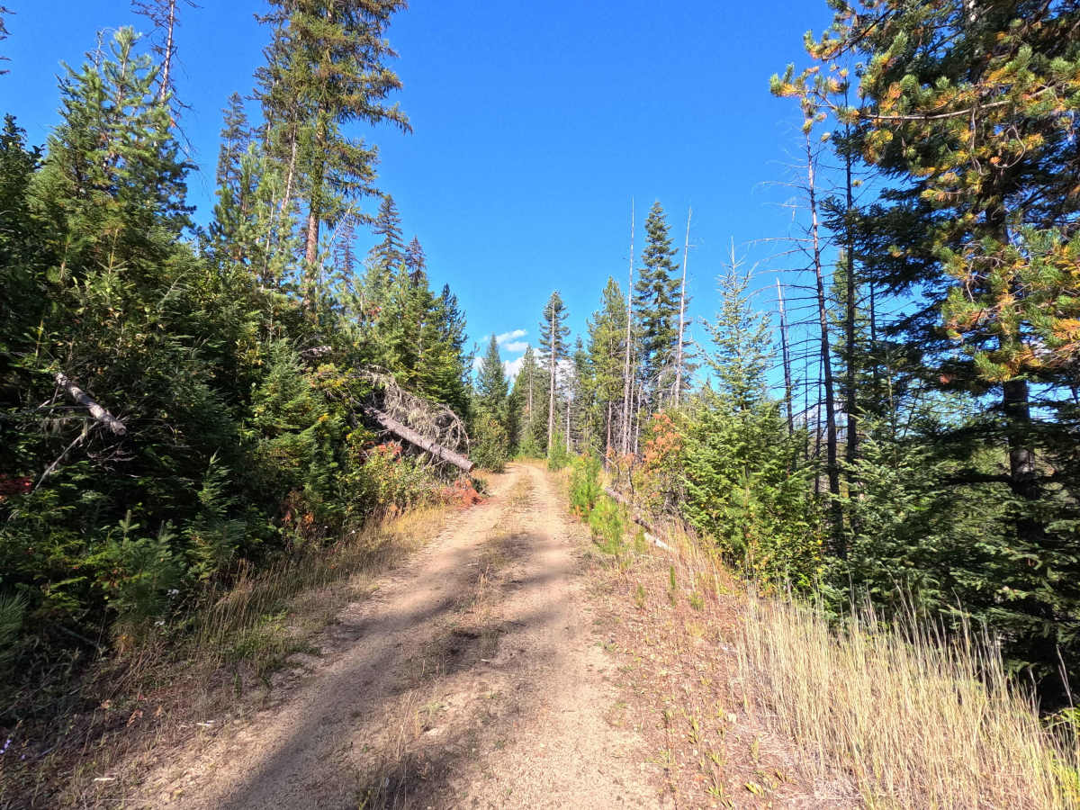 Klahowya Creek A - FS 1075A photo 2