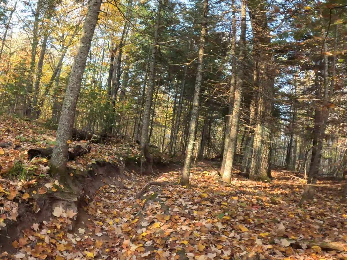 Straight Arrow Long Trail photo 6
