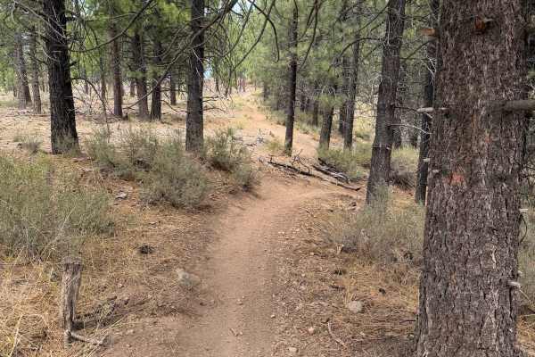 #6