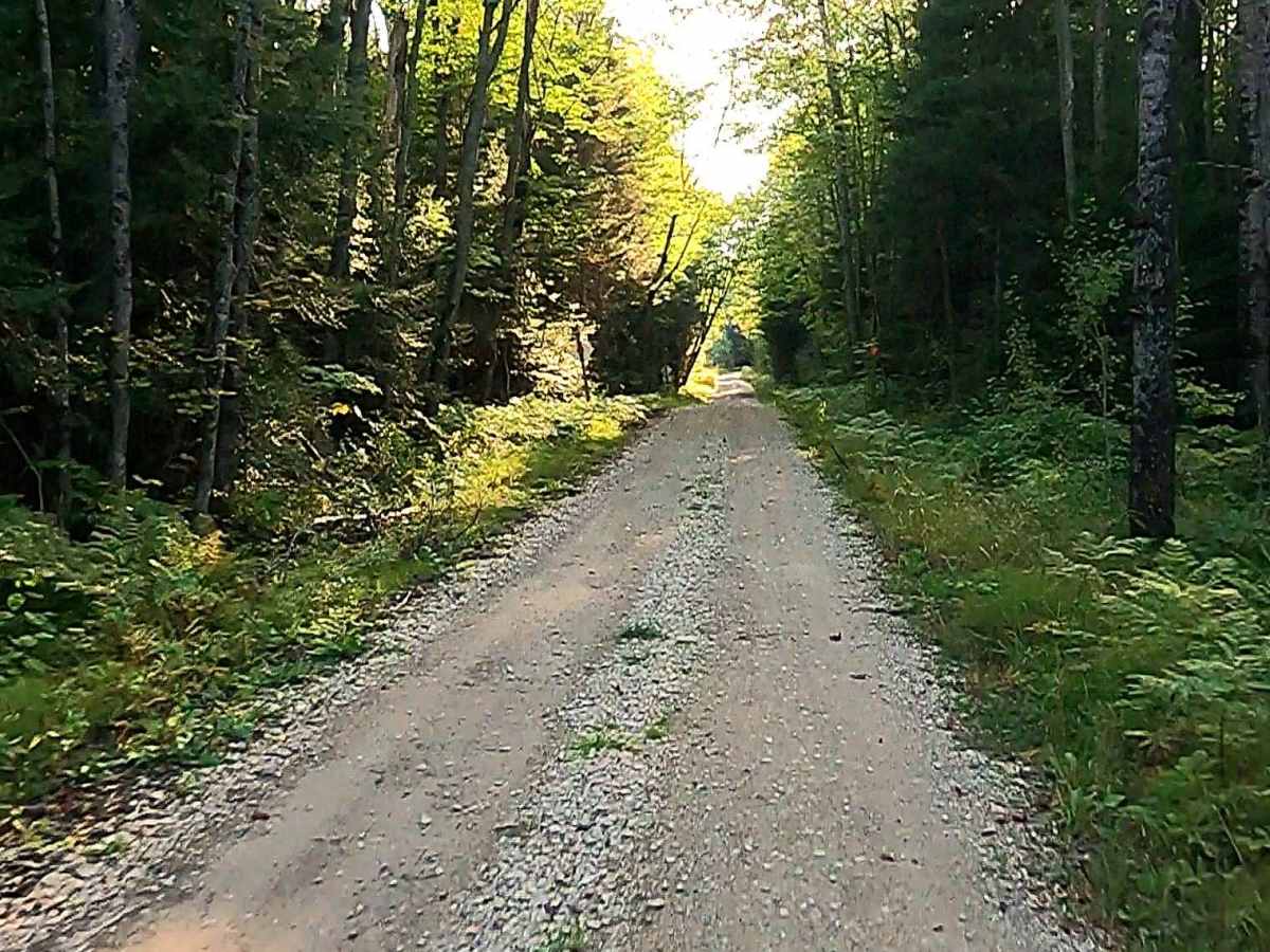 Pine River Truck Trail - FS 3137 photo 3