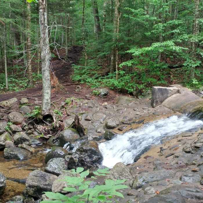 Manmade dam at 2.5 miles Near McKenzie Mountain & Haystack Mountain