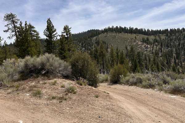 Upper Holcomb PCT