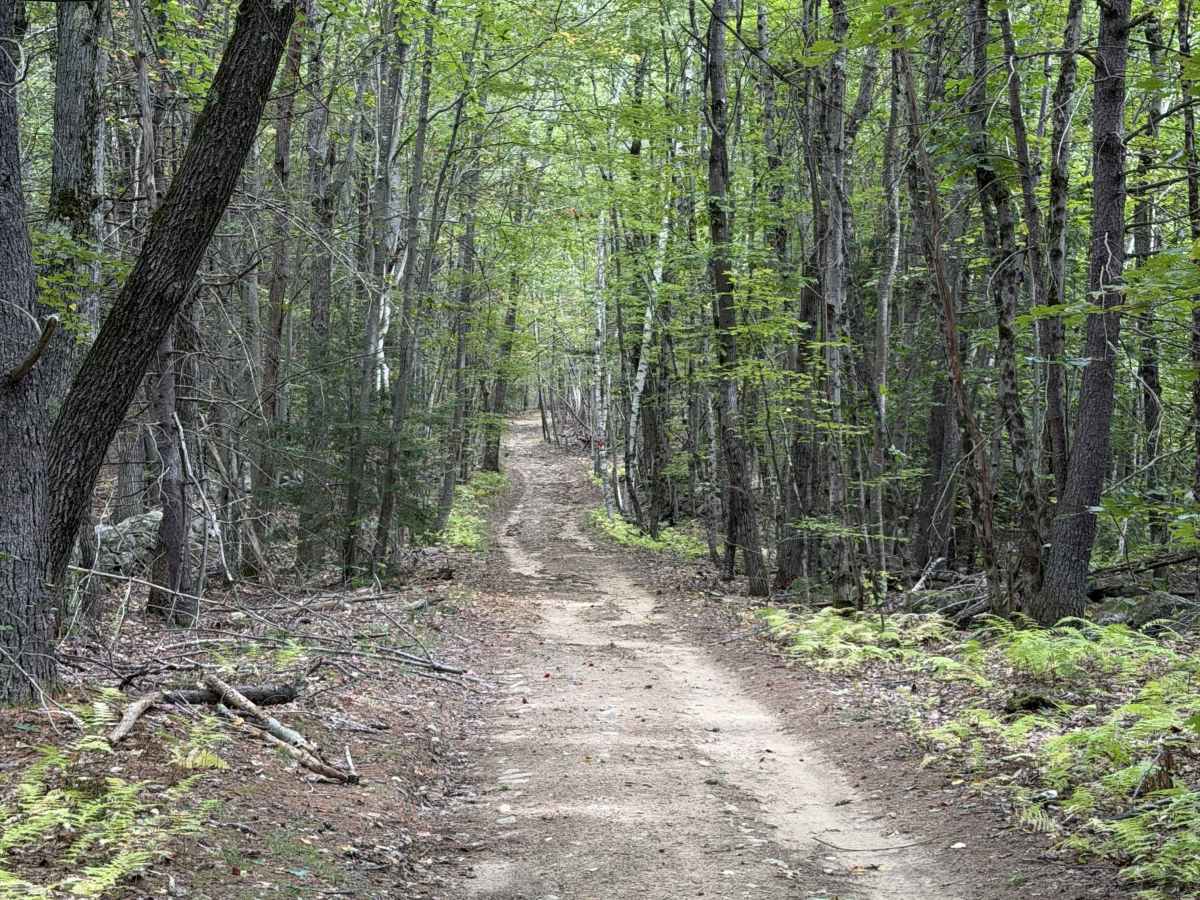 Sawyer Road photo 4