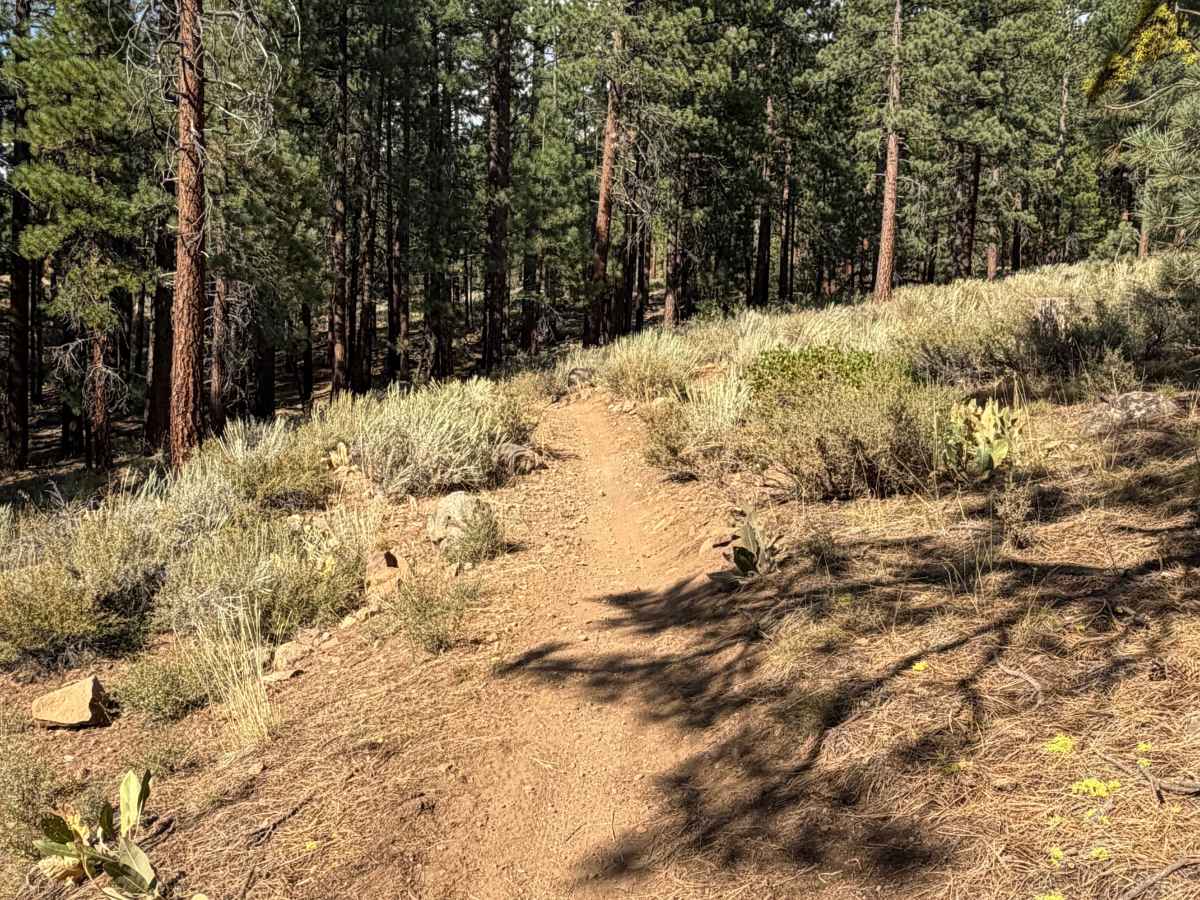 Beer Run Trail Upper photo 4