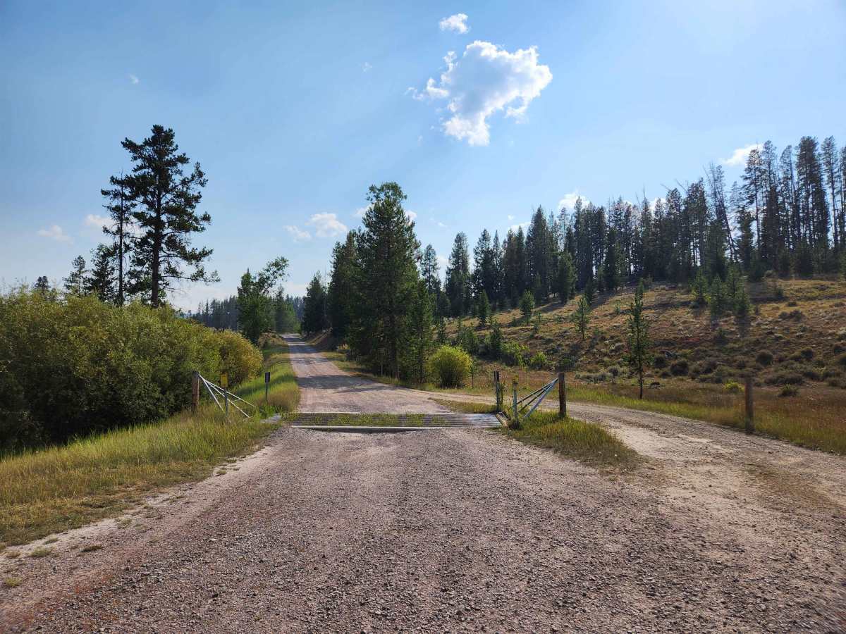 Emerine Trail photo 5