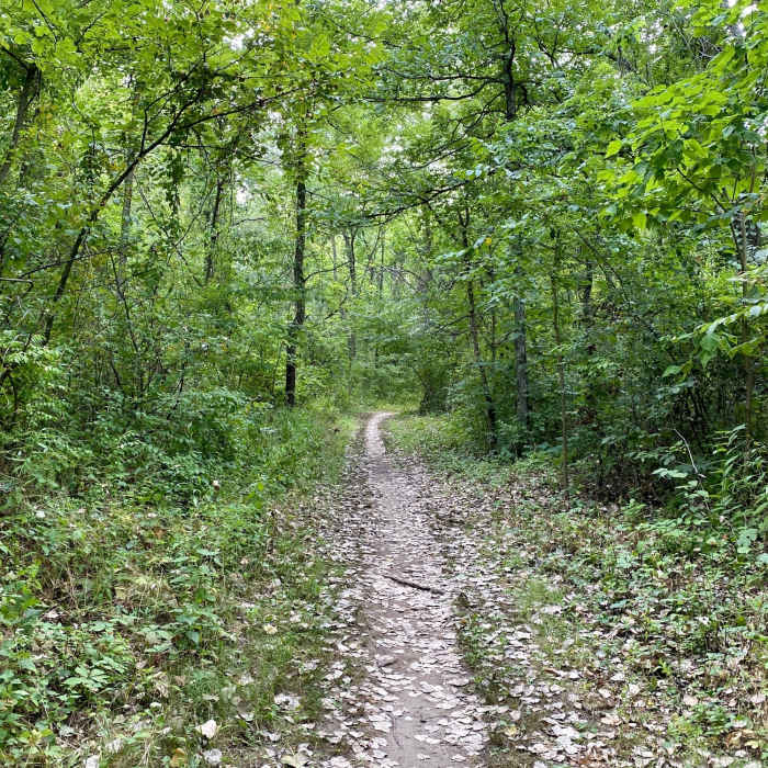 Near Blue White Loop