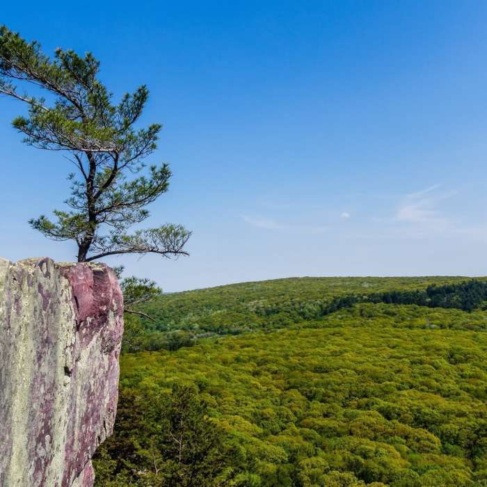 Near Devil's Lake Loop