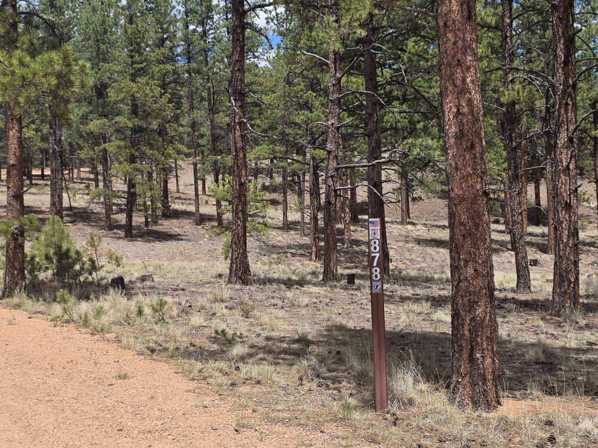 Forest Glen Road - FS 878 trail photo