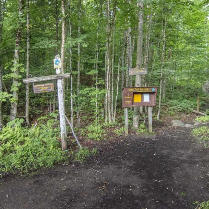 Near Owl's Head Fire Tower Near Owl's Head Fire Tower