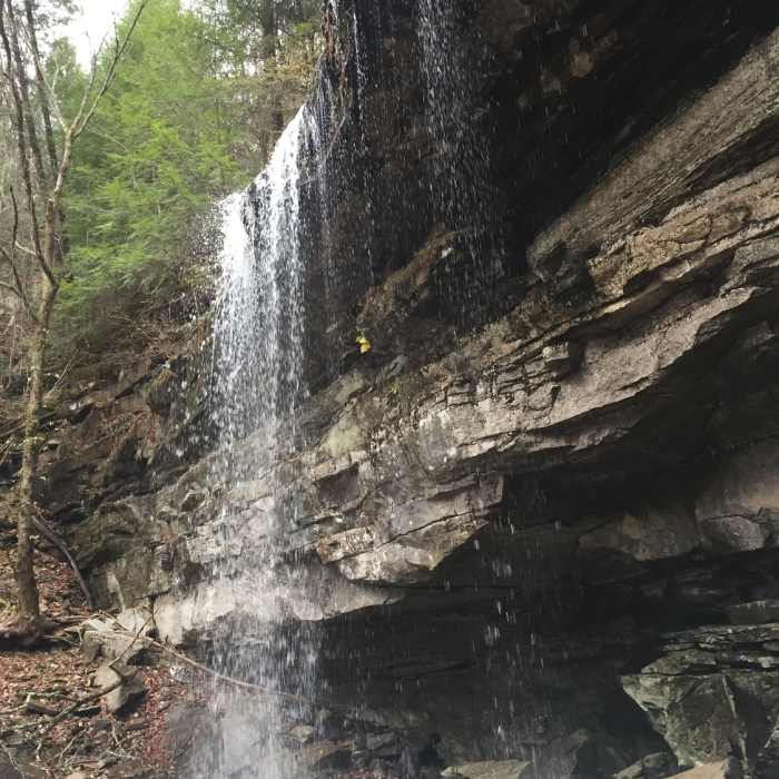 Near Ranger Falls Trail