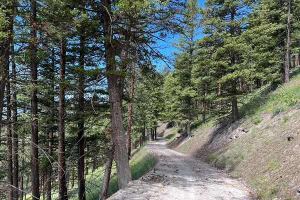 Butler Creek Loop 456