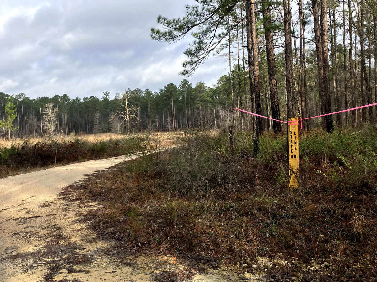 Boggy Hollow Road - FS 374 photo 2