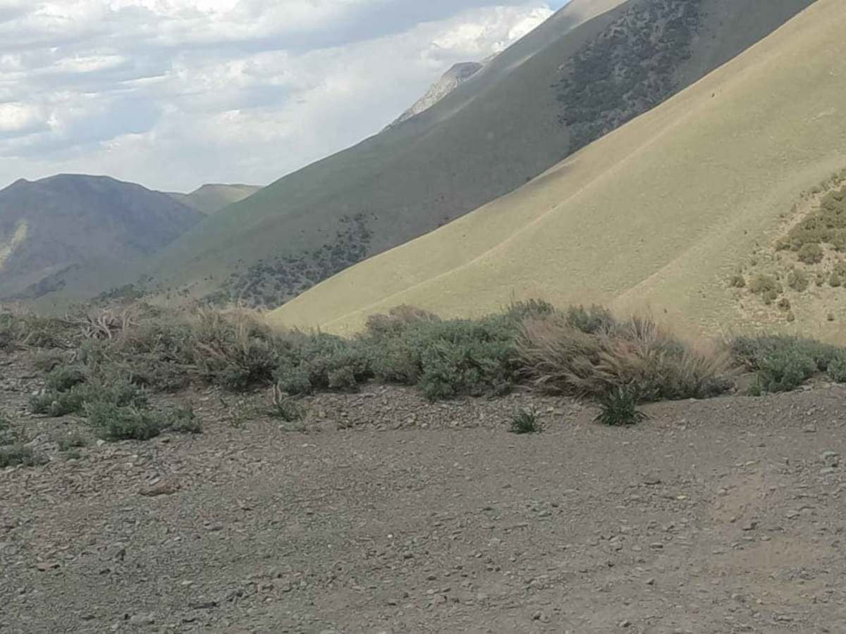 Big Creek Road - NF-012 photo 2