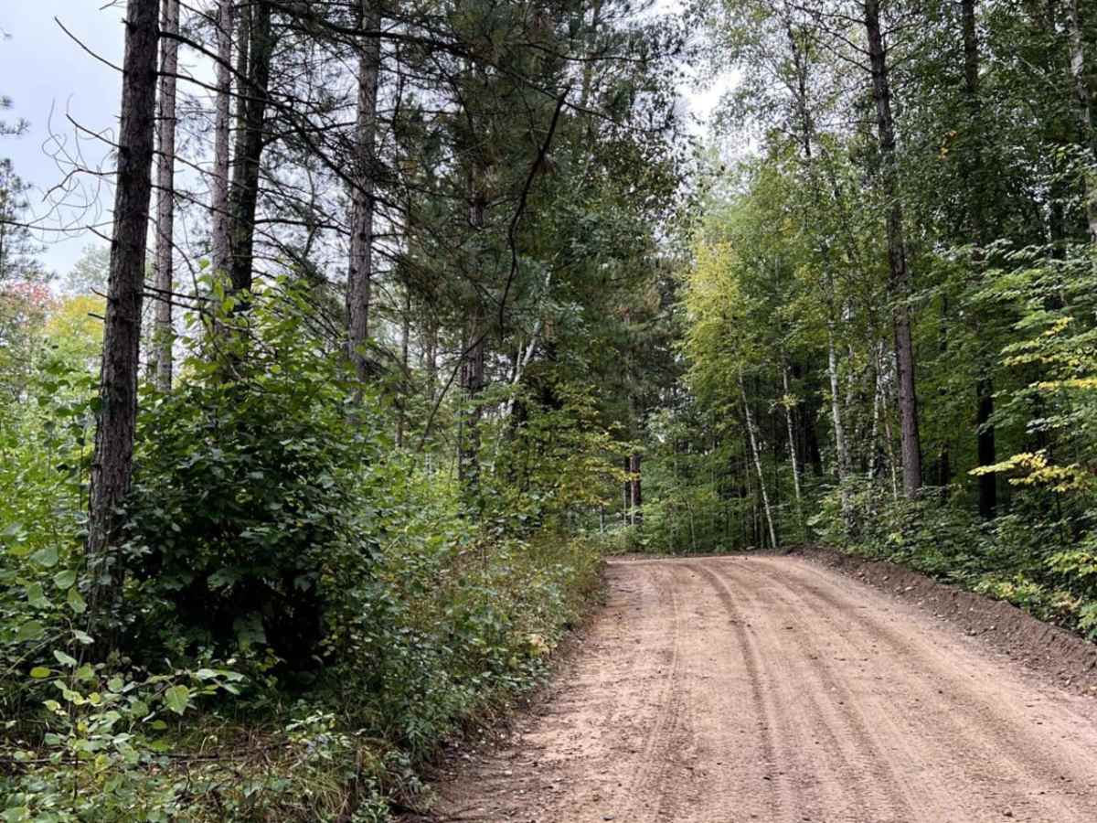 Bull Run Trail trail photo
