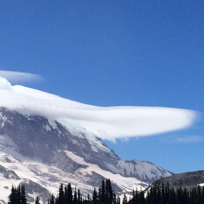 Near Silver Forest