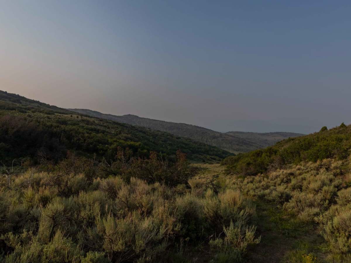 Rock Canyon photo 5