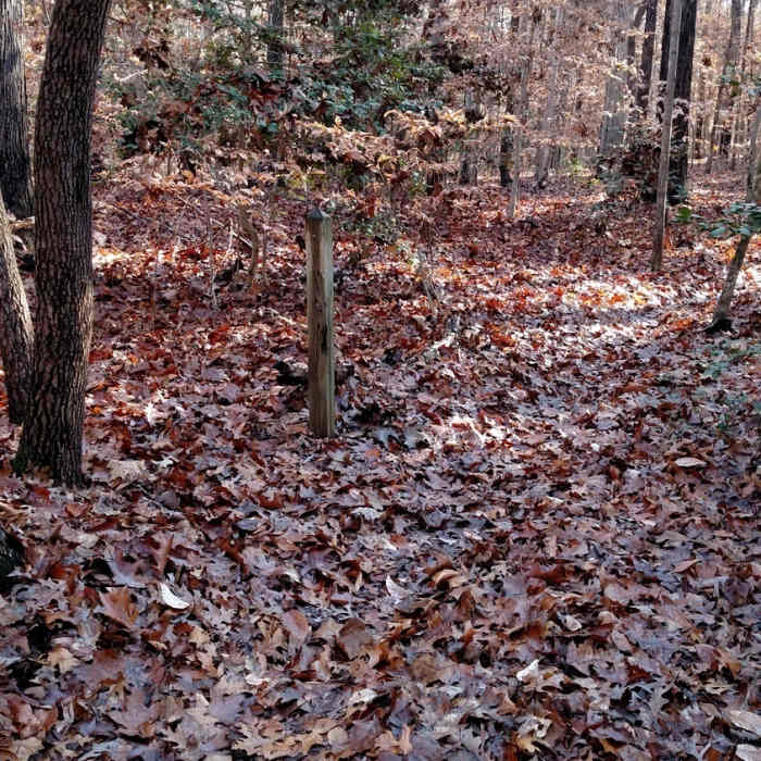 Intersection with unmarked trail Near Rolling View Marina View Out-and-Back