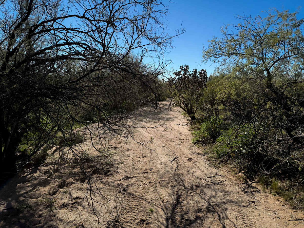 Narrow Wash trail photo