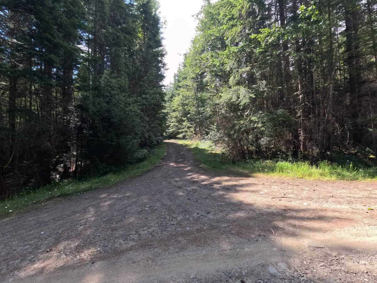 FS 2878120 trail photo