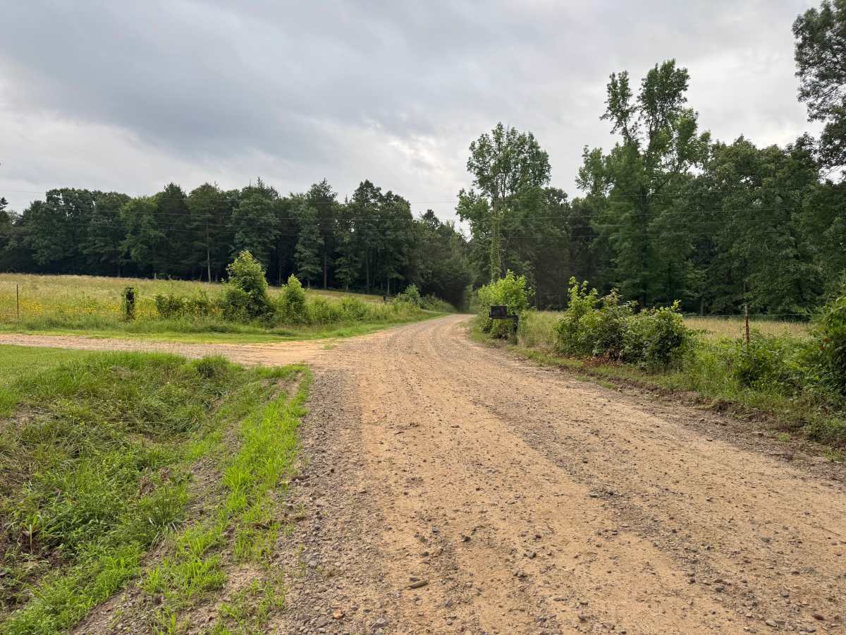 County Road 3355 photo 4