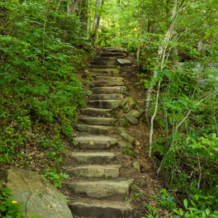 Near Wildcat Nature Trail Loop Near Wildcat Nature Trail Loop