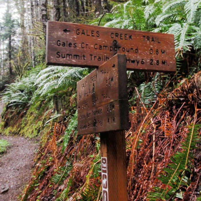 Near Gales Creek Trail