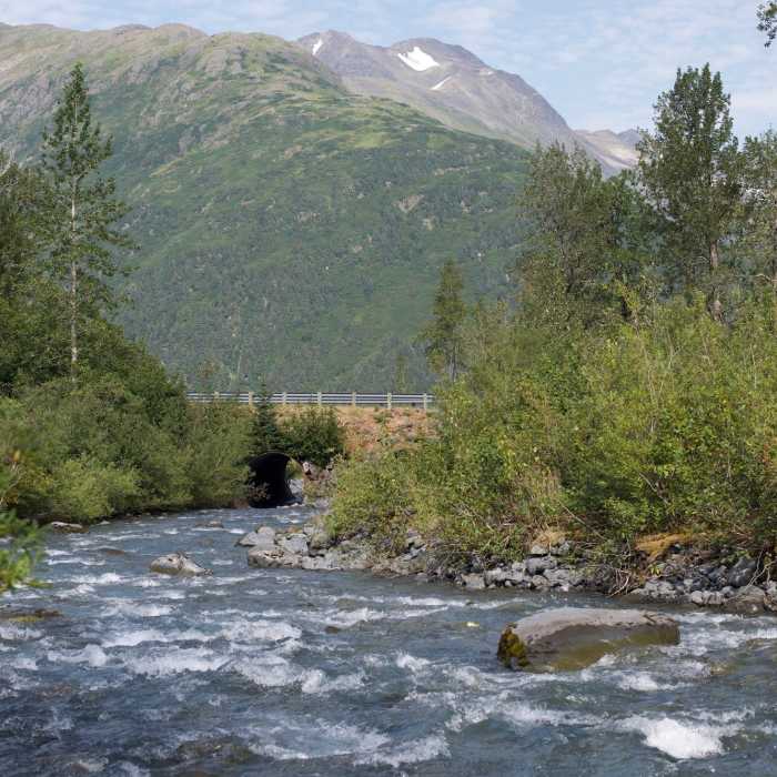 The trail approaches Byron Creek, which runs along the trail at various points. Near Byron Glacier Trail