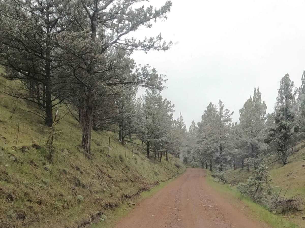 Skull Hollow - NF-5710 trail photo