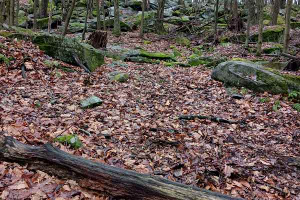 OHV 42 - Rock Run Recreation Area