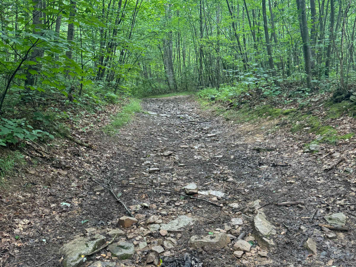 Trail 61 photo 4