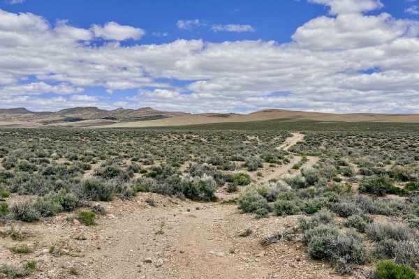  Georges Canyon - FS 44409