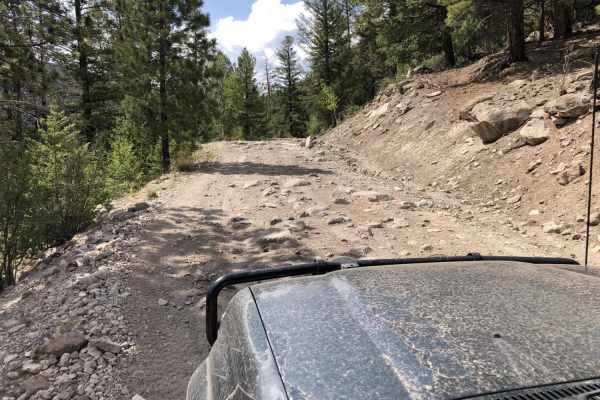 Wheeler Geologic - via Alder Creek (FS610)