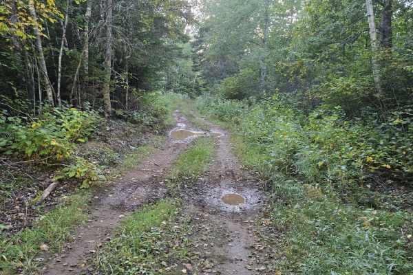 Flint Hill Road Hill Climb