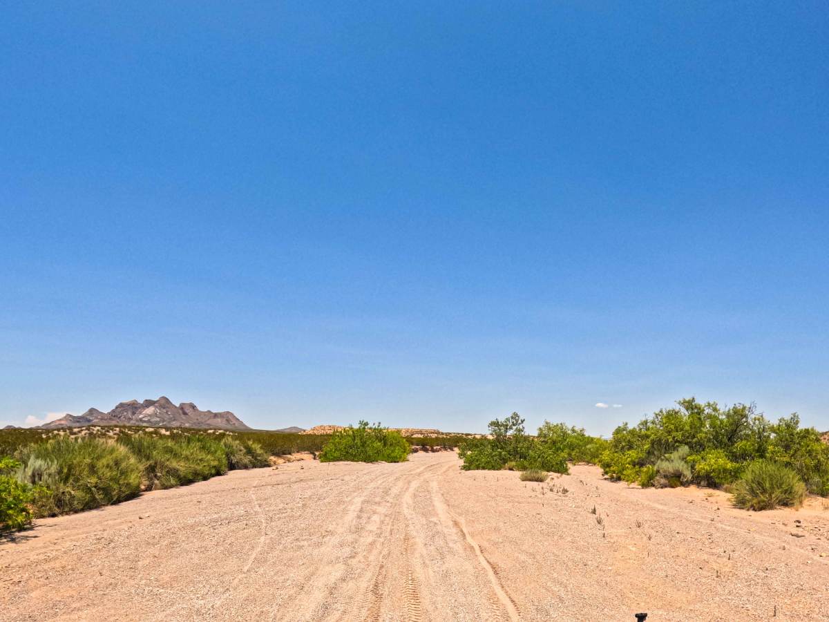 Desert Wind Way photo 5