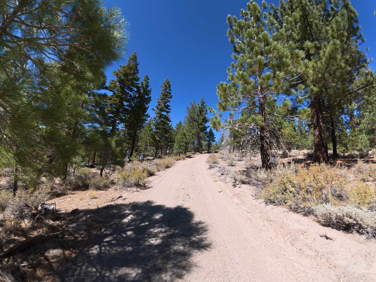 FS 3S24C photo 6