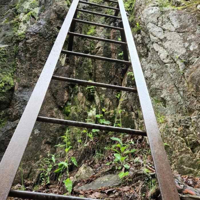 Near Beech Cliff Trail