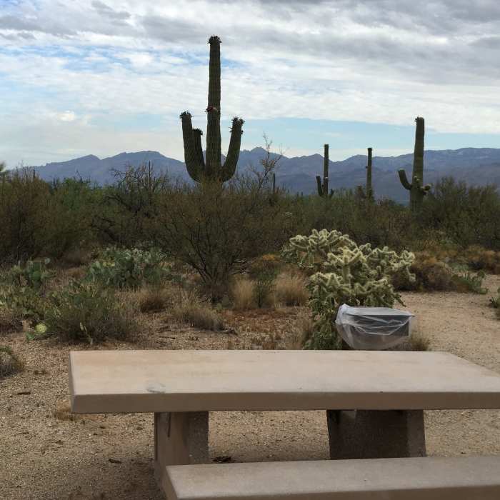 Near Mica View - Cactus Forest Mini Loop