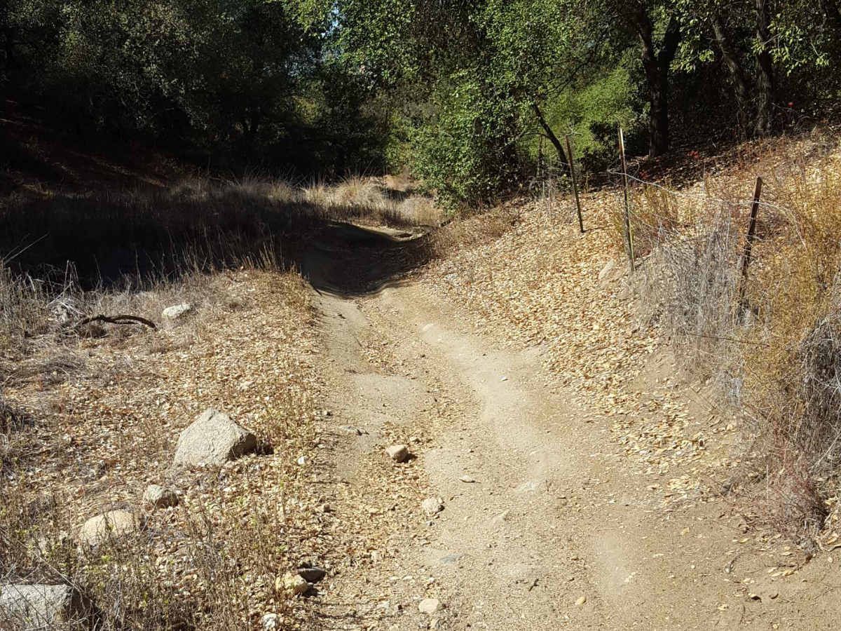 Corral - Trail 2 photo 5