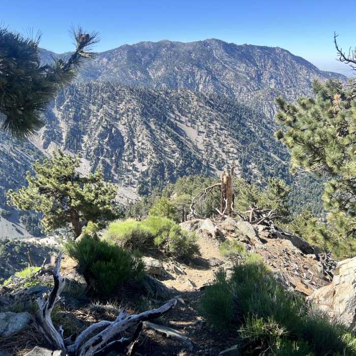 Near Mount Harwood via Register Ridge