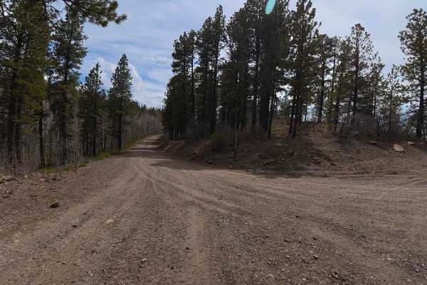 Cottonwood Road - FS 504