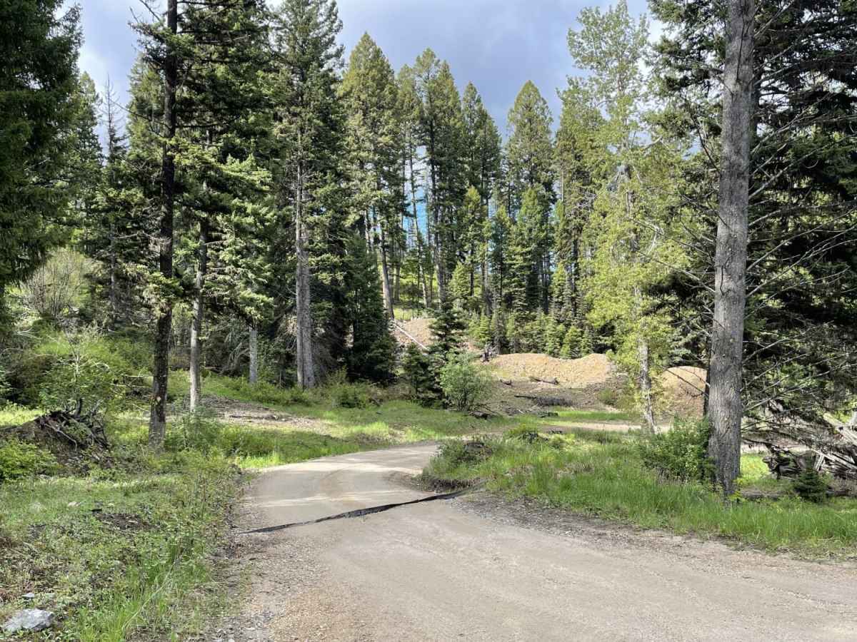 First Chance Gulch To Bear Gulch photo 6