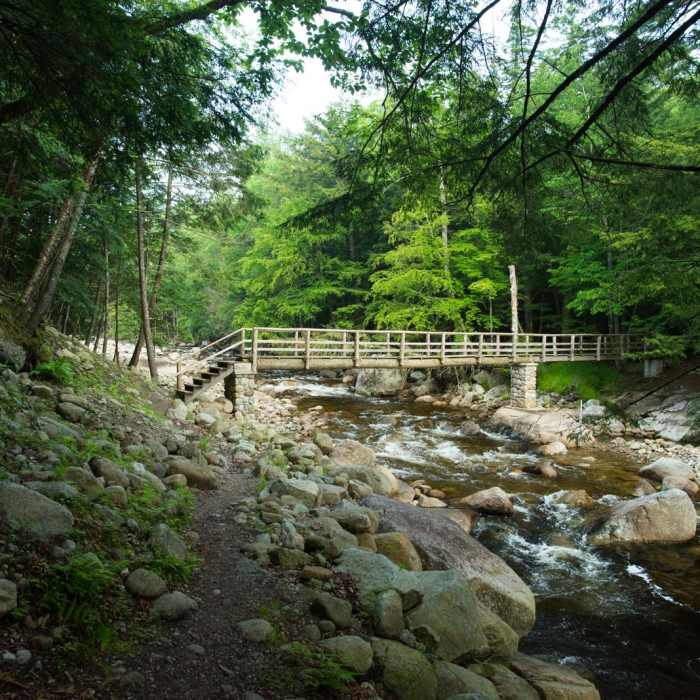 Near The Wolfjaws Near The Wolfjaws