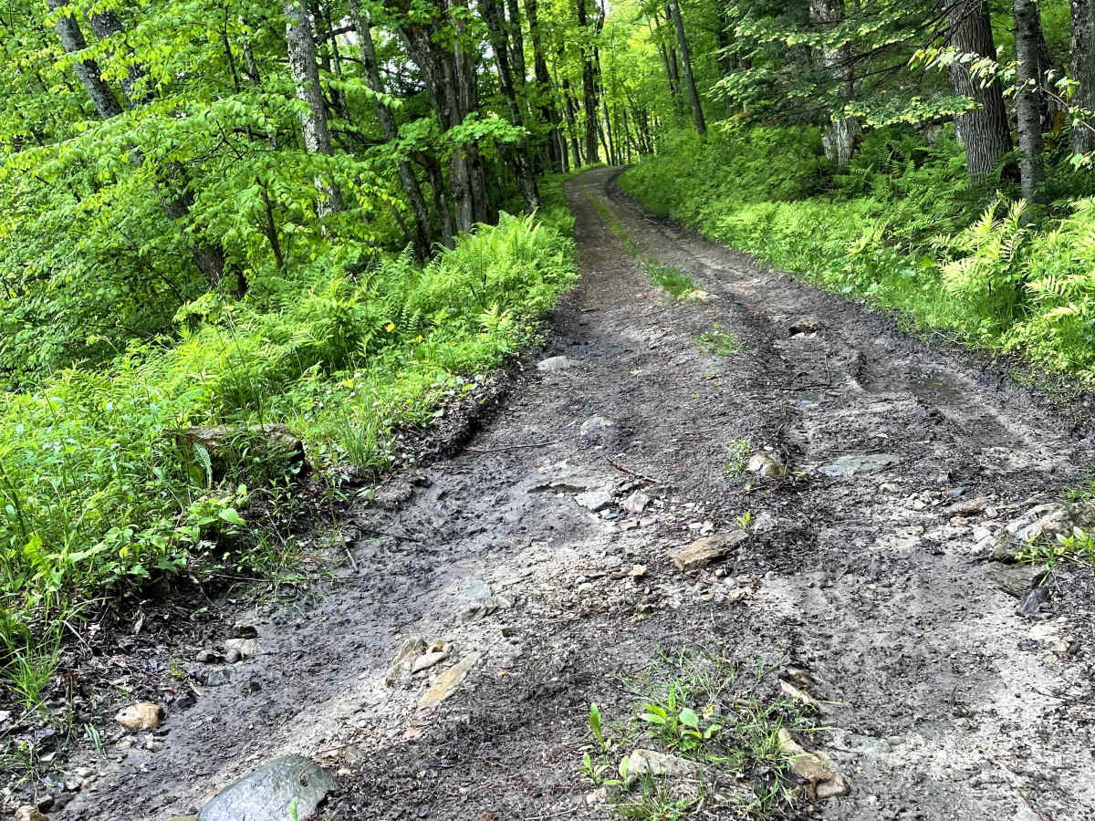 Beaver Meadow Trail - FS 76 trail photo