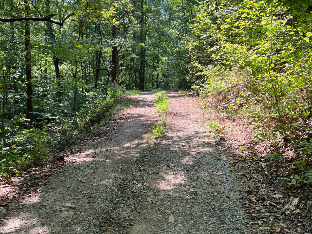 Chickamauga Creek Trail - FS 219 photo 3