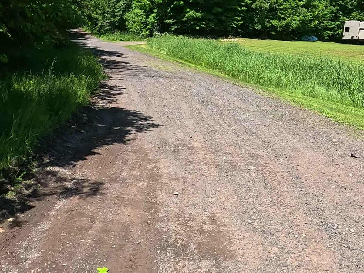 Pinery Road photo 6