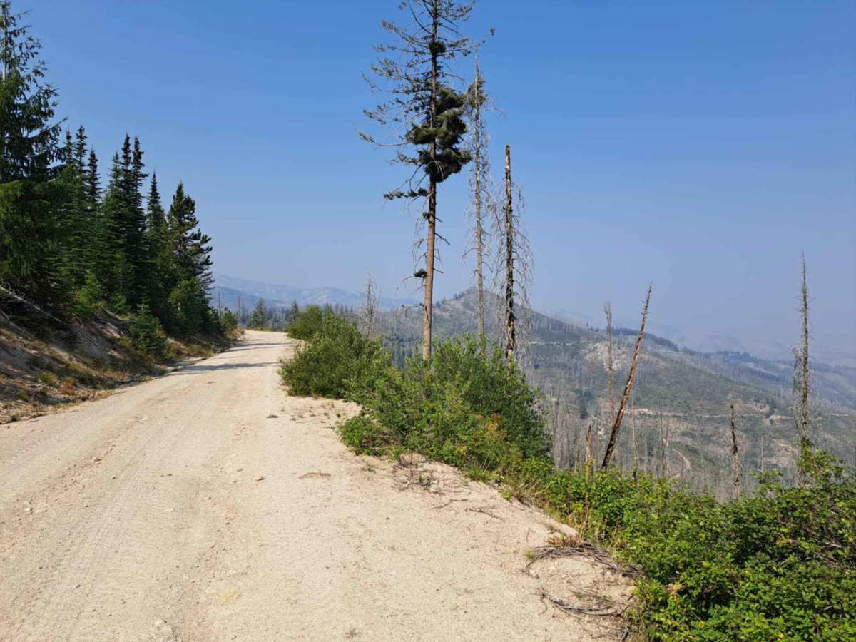 Roaring River Road - FS 255 trail photo