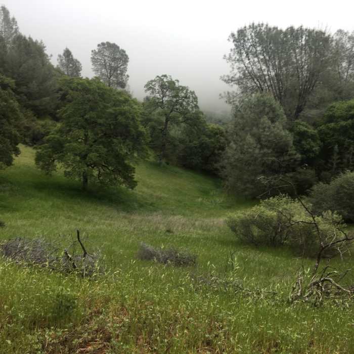 Near Foresthill Divide Loop