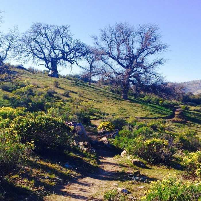 Near Jane's Loop