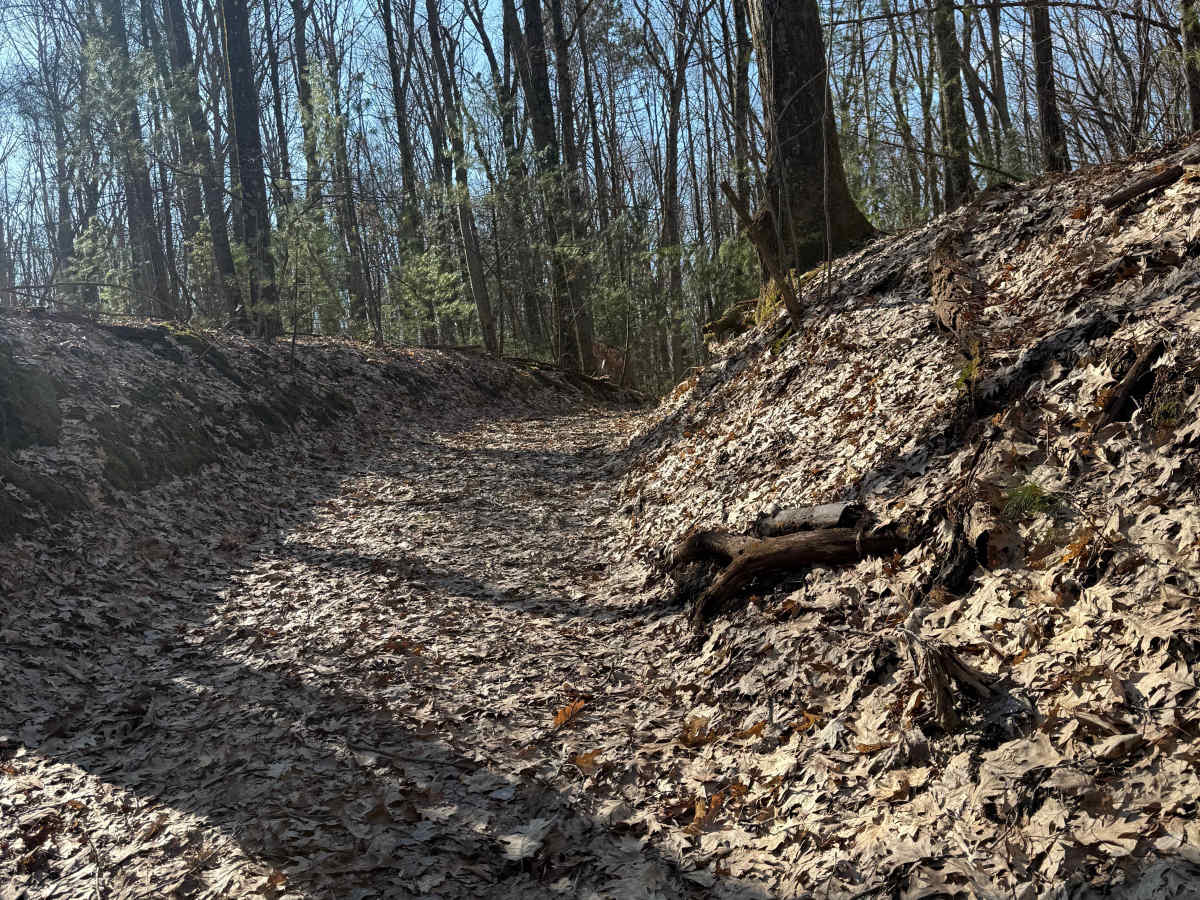 FS 8167 trail photo